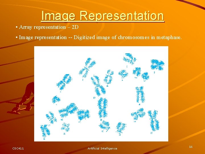 Image Representation • Array representation – 2 D • Image representation -- Digitized image