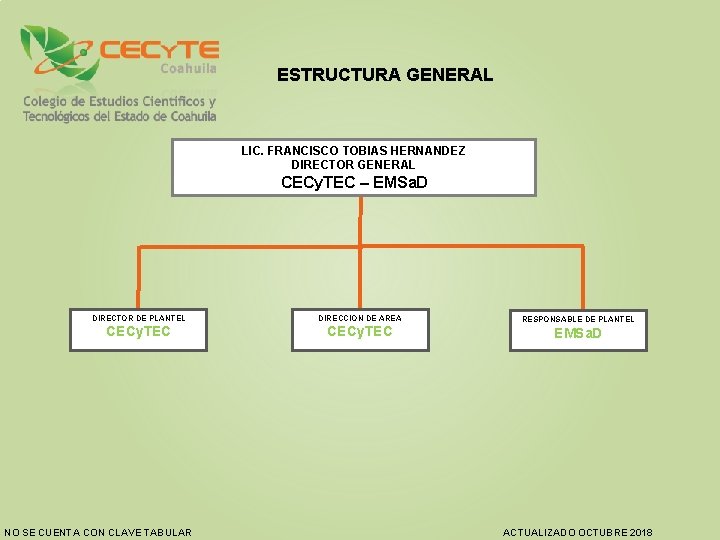 ESTRUCTURA GENERAL LIC. FRANCISCO TOBIAS HERNANDEZ DIRECTOR GENERAL CECy. TEC – EMSa. D DIRECTOR