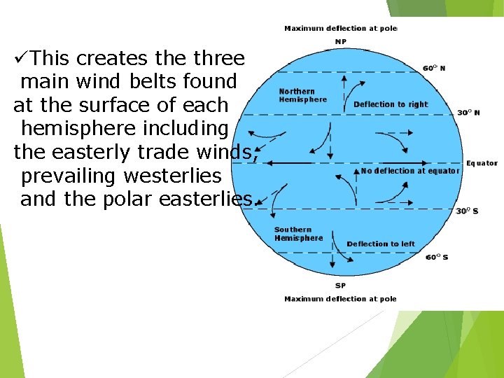üThis creates the three main wind belts found at the surface of each hemisphere