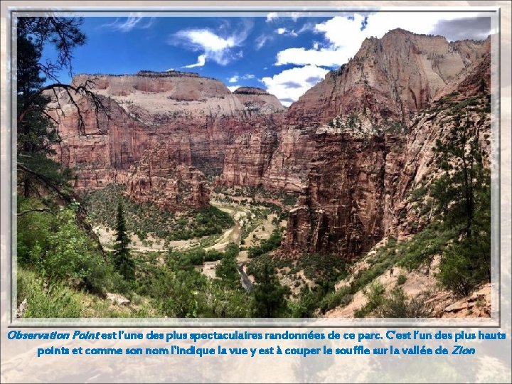 Observation Point est l’une des plus spectaculaires randonnées de ce parc. C’est l’un des