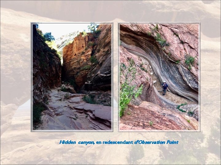 Hidden canyon, en redescendant d’Observation Point 