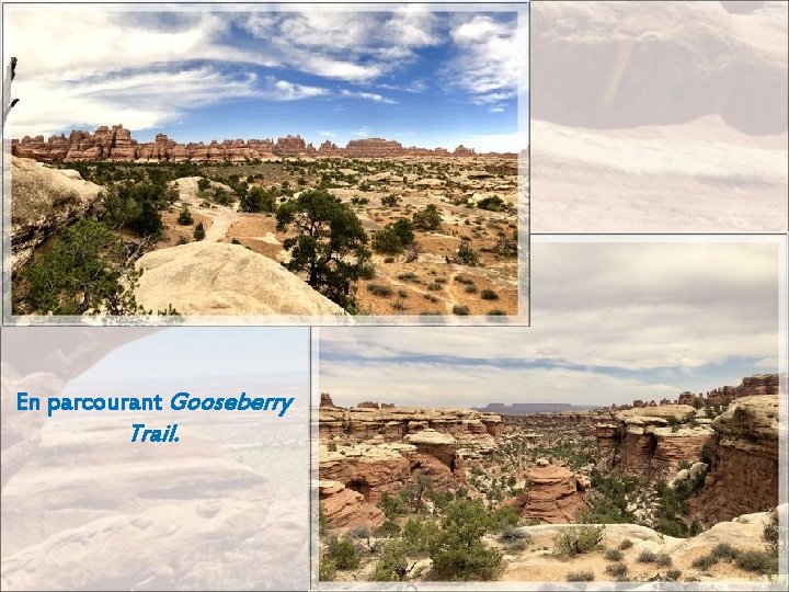 En parcourant Gooseberry Trail. 