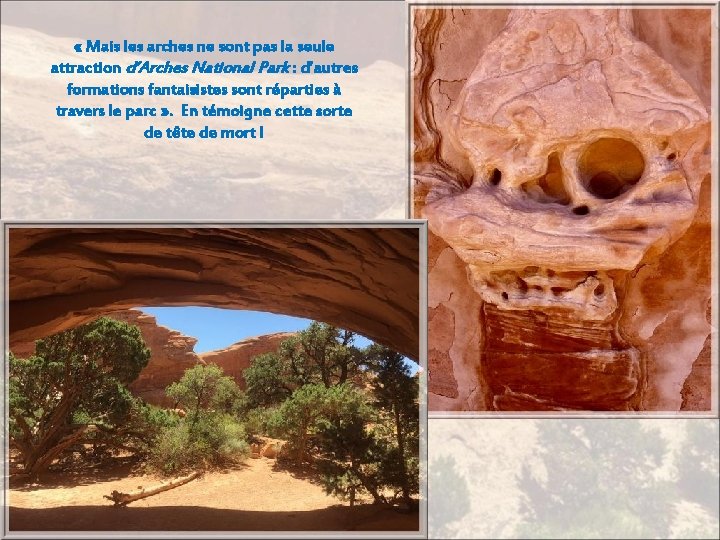  « Mais les arches ne sont pas la seule attraction d’Arches National Park