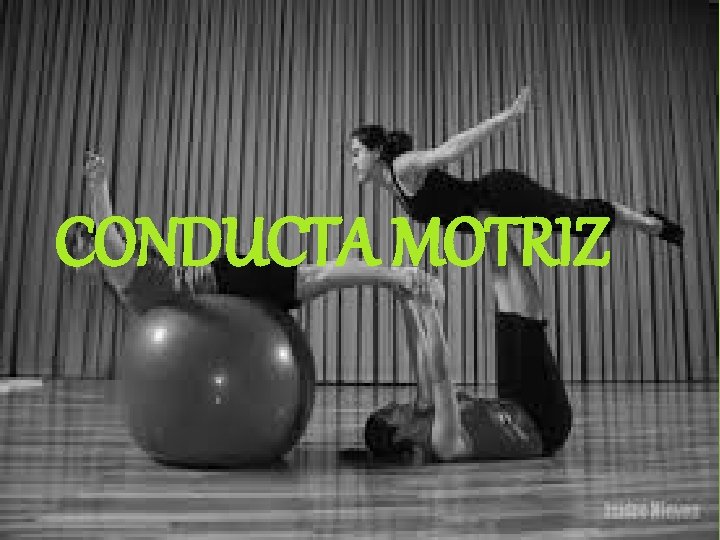 CONDUCTA MOTRIZ 