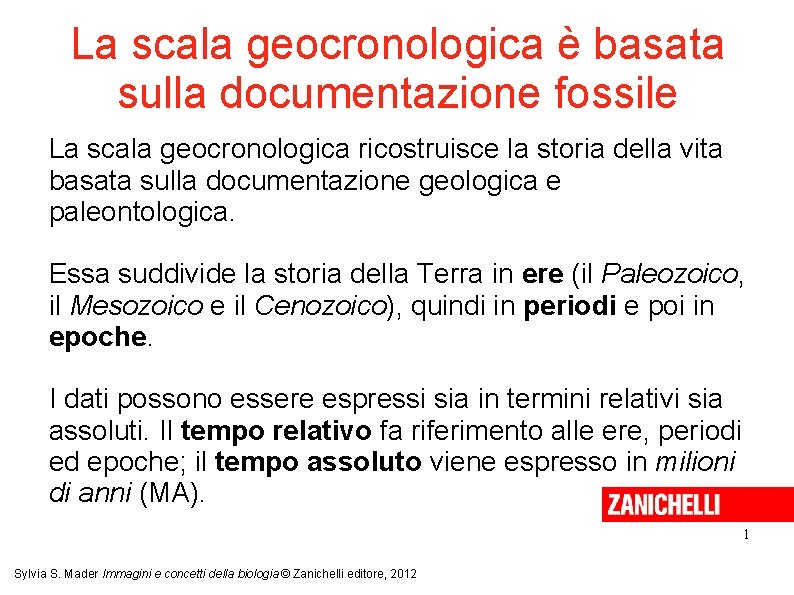 La scala geocronologica è basata sulla documentazione fossile La scala geocronologica ricostruisce la storia