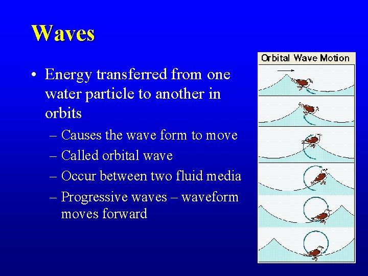 Waves • Energy transferred from one water particle to another in orbits – Causes