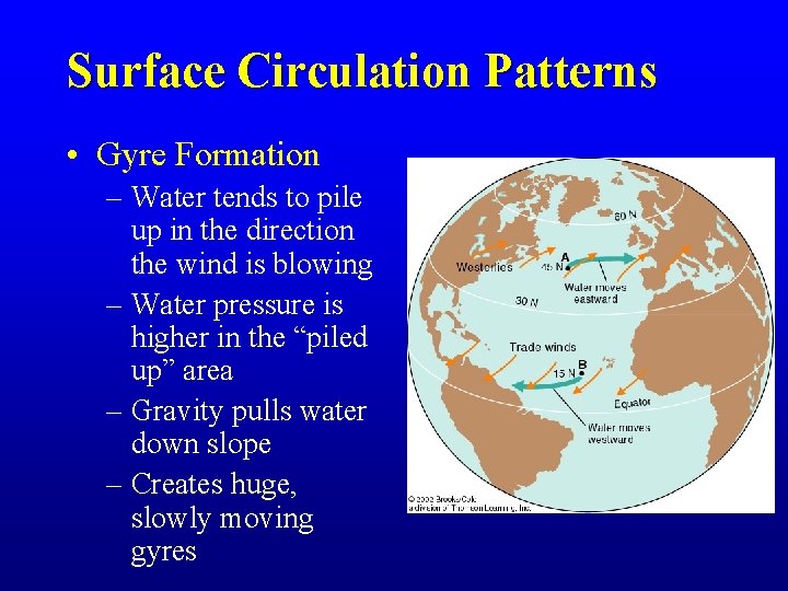 Surface Circulation Patterns • Gyre Formation – Water tends to pile up in the
