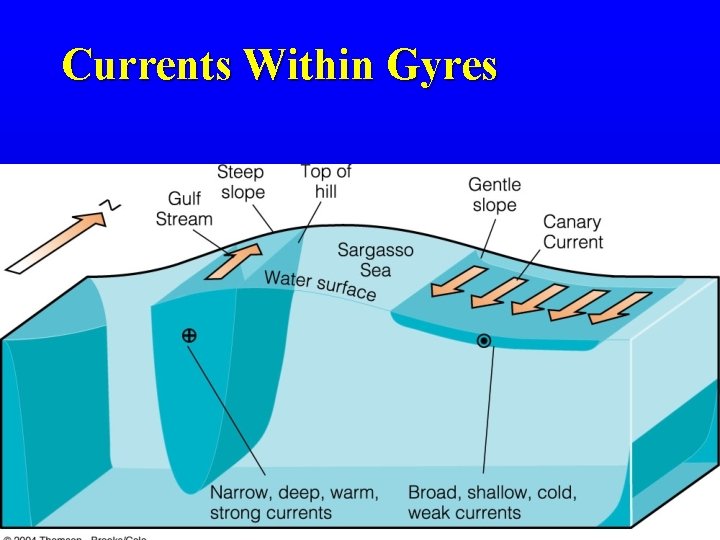 Currents Within Gyres © 2002 Brooks/Cole, a division of Thomson Learning, Inc. 