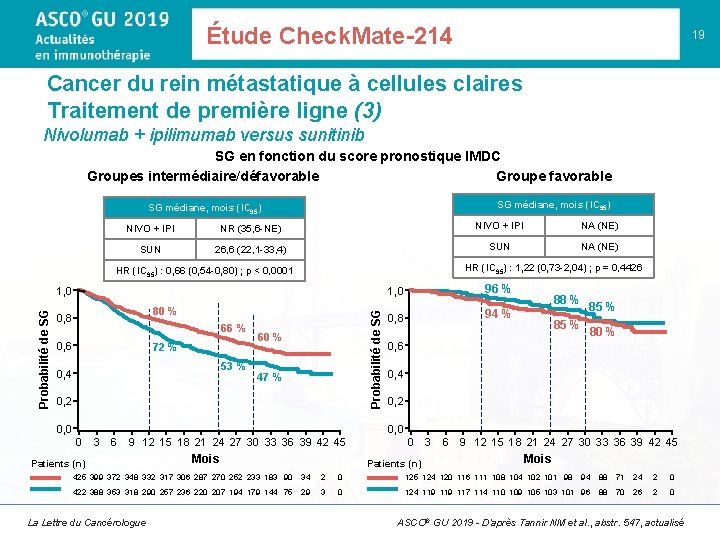 Étude Check. Mate-214 19 Cancer du rein métastatique à cellules claires Traitement de première