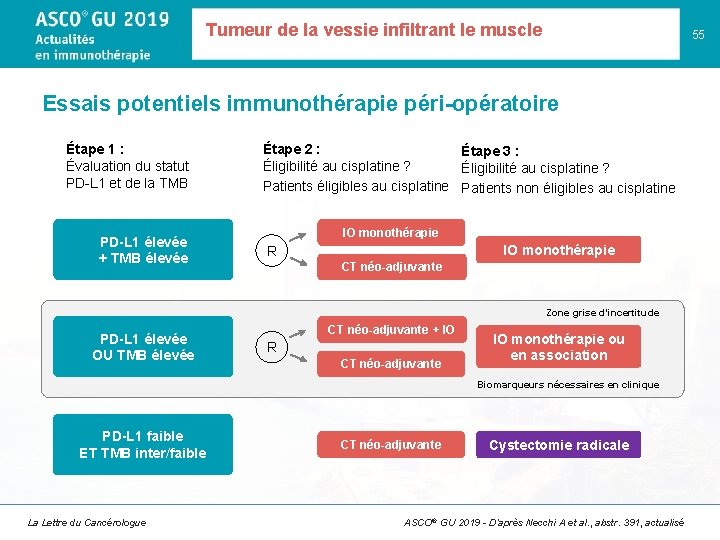 Tumeur de la vessie infiltrant le muscle 55 Essais potentiels immunothérapie péri-opératoire Étape 1