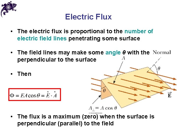 Electric Flux • The electric flux is proportional to the number of electric field
