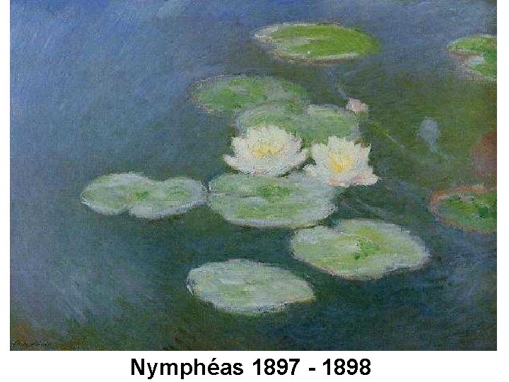 Nymphéas 1897 - 1898 