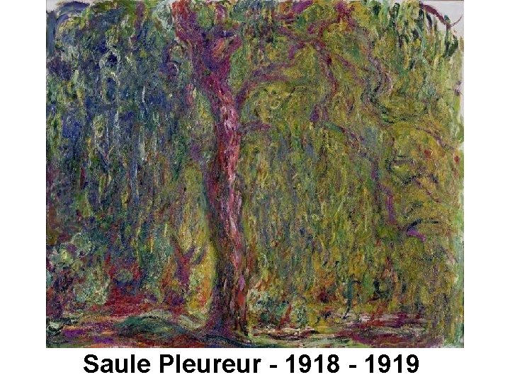 Saule Pleureur - 1918 - 1919 