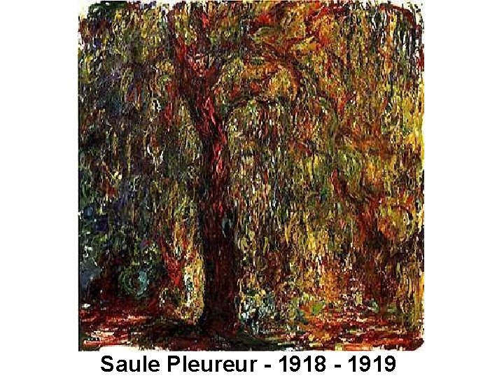 Saule Pleureur - 1918 - 1919 