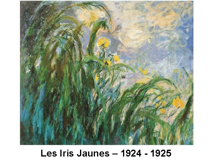 Les Iris Jaunes – 1924 - 1925 