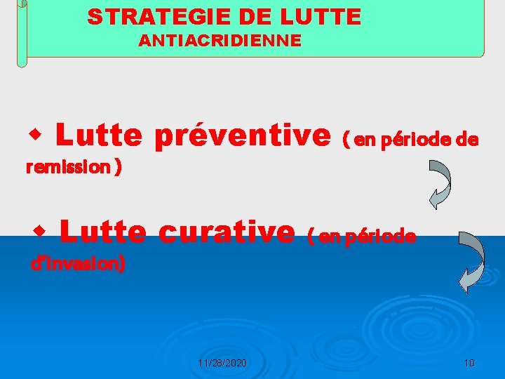 STRATEGIE DE LUTTE ANTIACRIDIENNE w Lutte préventive ( en période de remission ) w