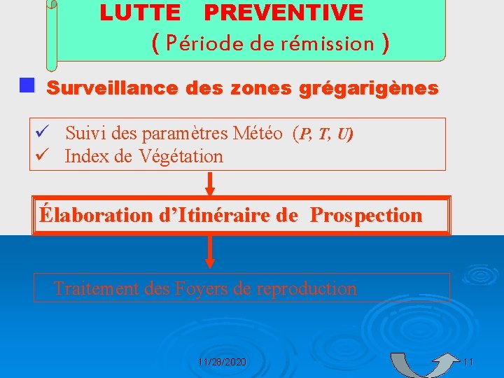 LUTTE PREVENTIVE ( Période de rémission ) n Surveillance des zones grégarigènes ü Suivi