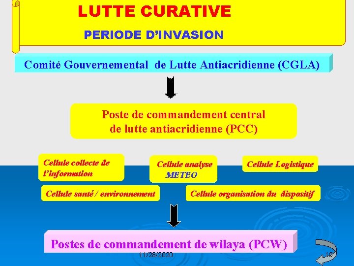 LUTTE CURATIVE PERIODE D’INVASION Comité Gouvernemental de Lutte Antiacridienne (CGLA) Poste de commandement central