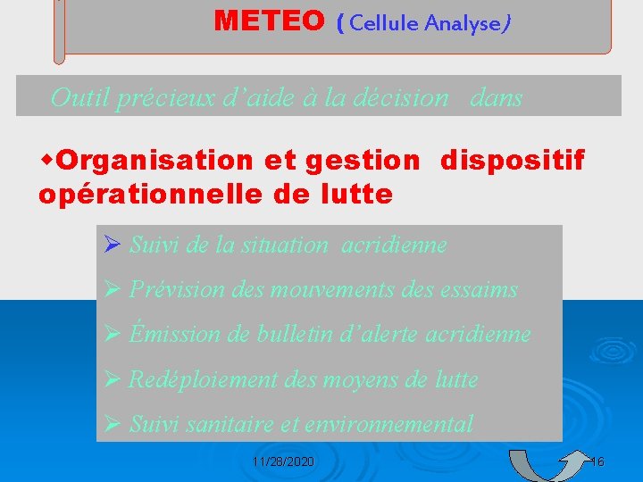 METEO ( Cellule Analyse) Outil précieux d’aide à la décision dans w. Organisation et