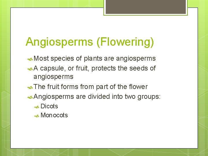 Angiosperms (Flowering) Most species of plants are angiosperms A capsule, or fruit, protects the