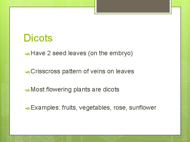 Dicots Have 2 seed leaves (on the embryo) Crisscross Most pattern of veins on