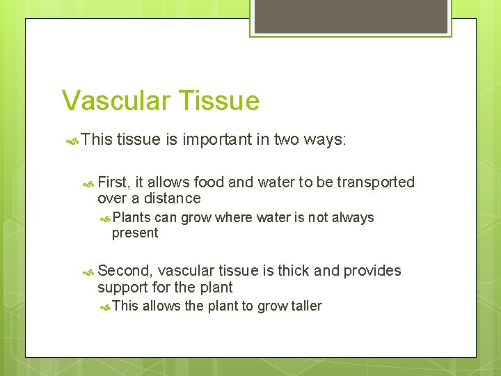 Vascular Tissue This tissue is important in two ways: First, it allows food and