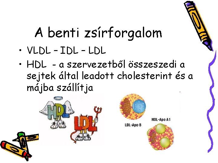 fogyás és alacsony HDL