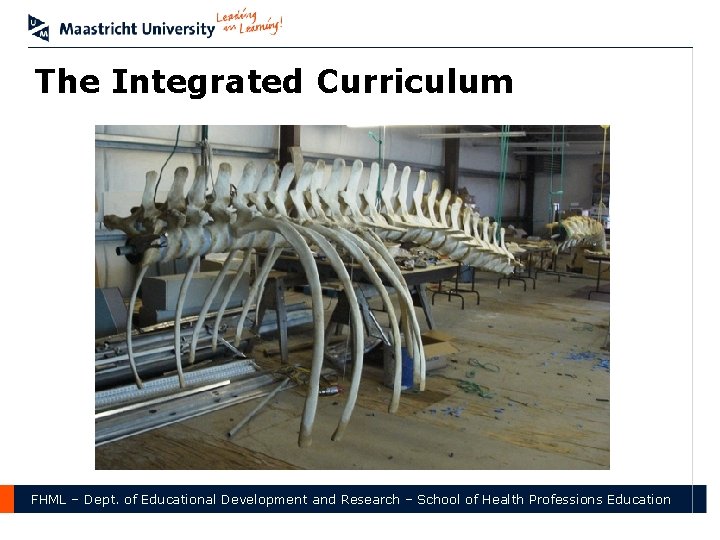 The Integrated Curriculum FHML – Dept. of Educational Development and Research – School of