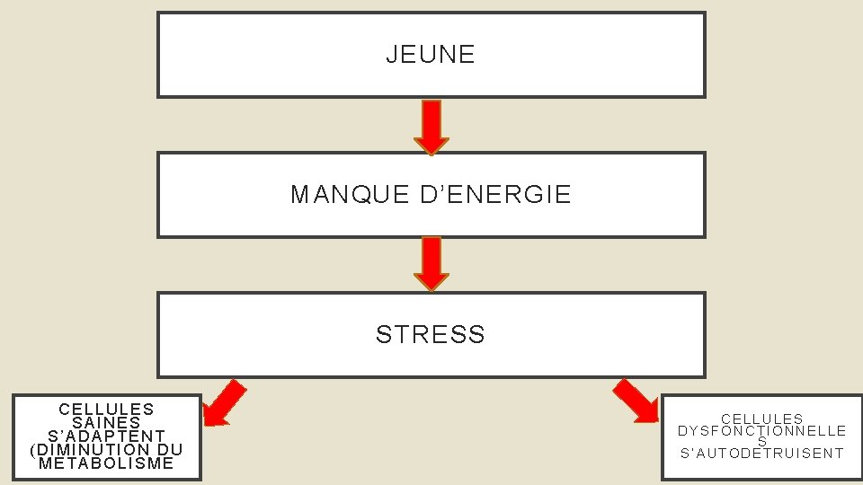 JEUNE MANQUE D’ENERGIE STRESS CELLULES SAINES S’ADAPTENT (DIMINUTION DU METABOLISME CELLULES DYSFONCTIONNELLE S S’AUTODETRUISENT