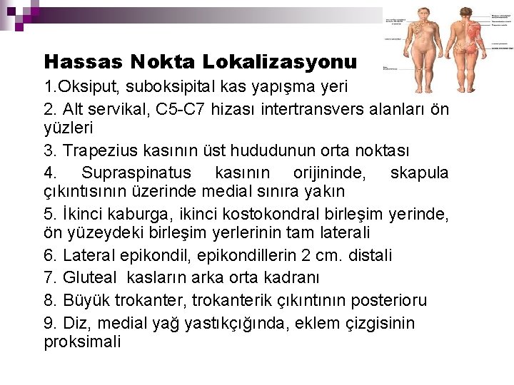  Hassas Nokta Lokalizasyonu 1. Oksiput, suboksipital kas yapışma yeri 2. Alt servikal, C