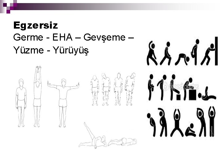 Egzersiz Germe - EHA – Gevşeme – Yüzme - Yürüyüş 