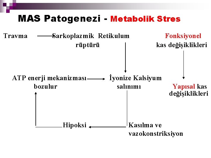 MAS Patogenezi - Metabolik Stres Travma Sarkoplazmik Retikulum rüptürü Fonksiyonel kas değişiklikleri ATP enerji