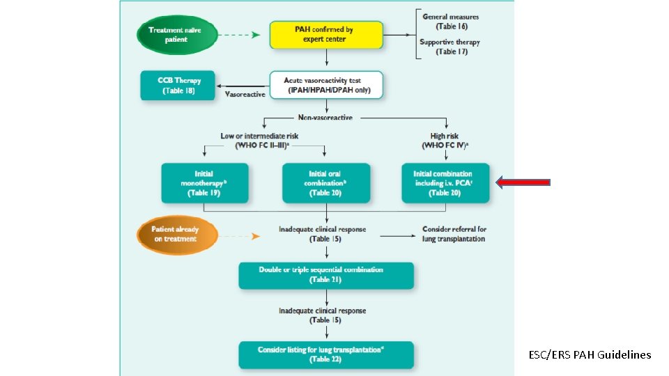 ESC/ERS PAH Guidelines 