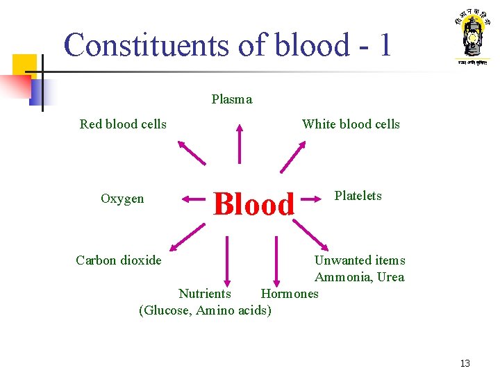 Constituents of blood - 1 Plasma Red blood cells Oxygen White blood cells Blood