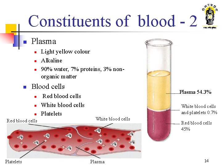 Constituents of blood - 2 n Plasma n n Blood cells n n n