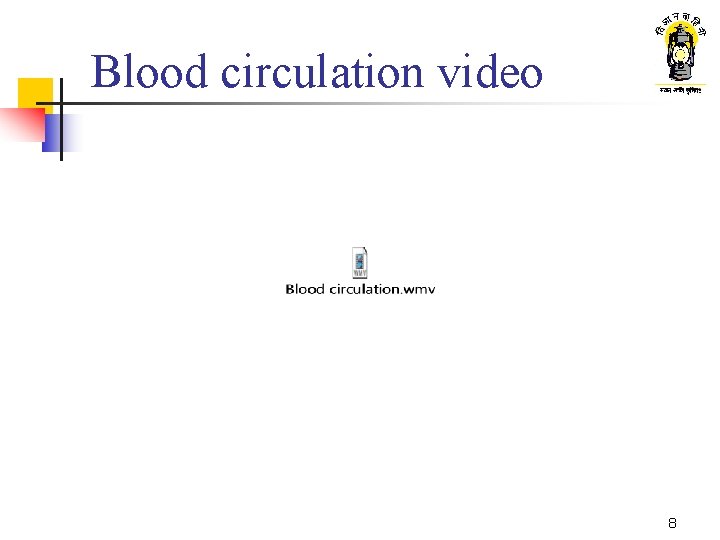 Blood circulation video 8 