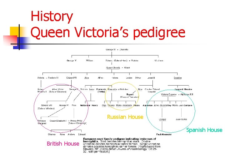 History Queen Victoria’s pedigree Russian House Spanish House British House 