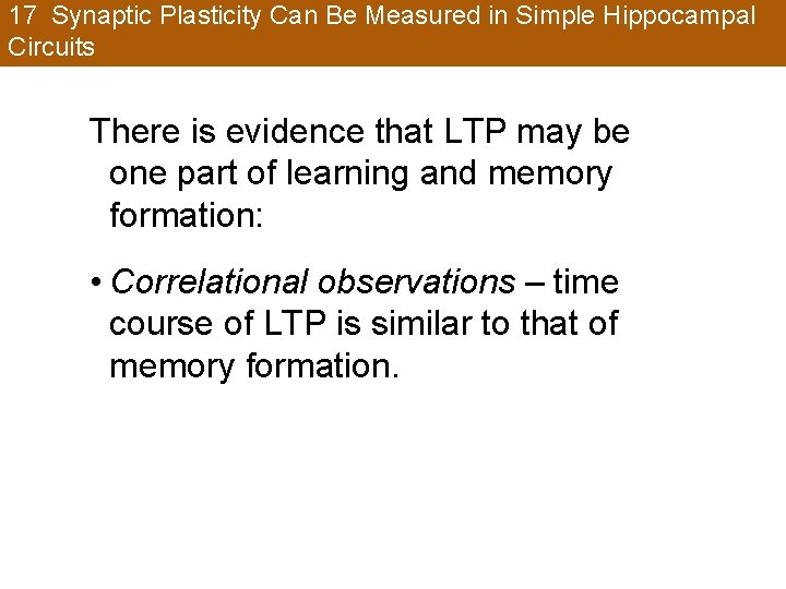 17 Synaptic Plasticity Can Be Measured in Simple Hippocampal Circuits There is evidence that