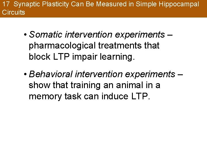 17 Synaptic Plasticity Can Be Measured in Simple Hippocampal Circuits • Somatic intervention experiments