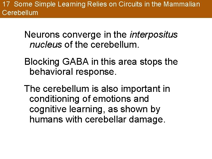17 Some Simple Learning Relies on Circuits in the Mammalian Cerebellum Neurons converge in