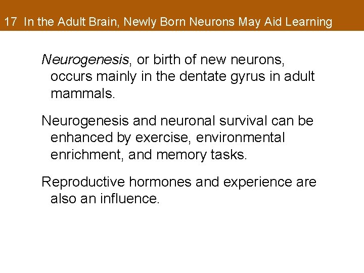 17 In the Adult Brain, Newly Born Neurons May Aid Learning Neurogenesis, or birth