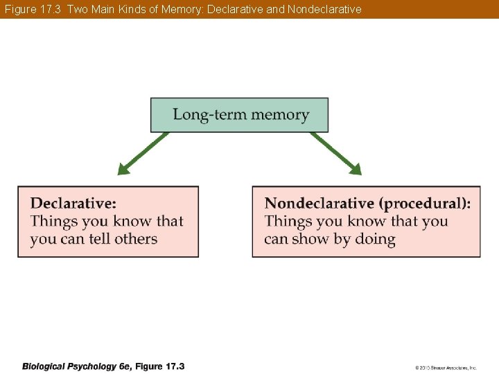 Figure 17. 3 Two Main Kinds of Memory: Declarative and Nondeclarative 