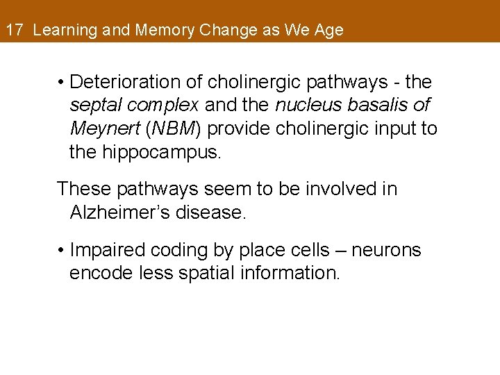 17 Learning and Memory Change as We Age • Deterioration of cholinergic pathways -