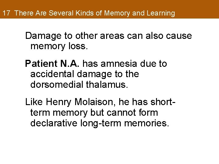 17 There Are Several Kinds of Memory and Learning Damage to other areas can