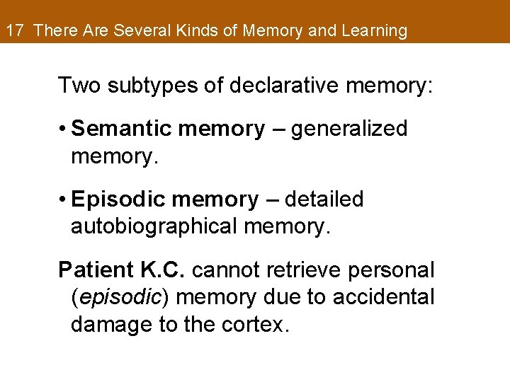 17 There Are Several Kinds of Memory and Learning Two subtypes of declarative memory: