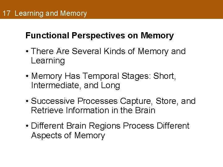 17 Learning and Memory Functional Perspectives on Memory • There Are Several Kinds of