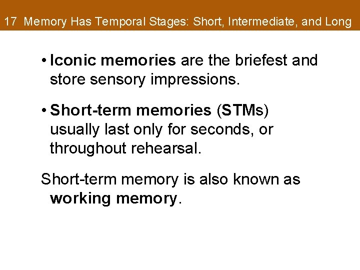 17 Memory Has Temporal Stages: Short, Intermediate, and Long • Iconic memories are the