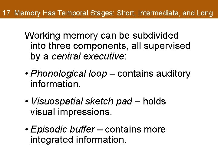 17 Memory Has Temporal Stages: Short, Intermediate, and Long Working memory can be subdivided