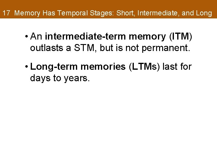 17 Memory Has Temporal Stages: Short, Intermediate, and Long • An intermediate-term memory (ITM)