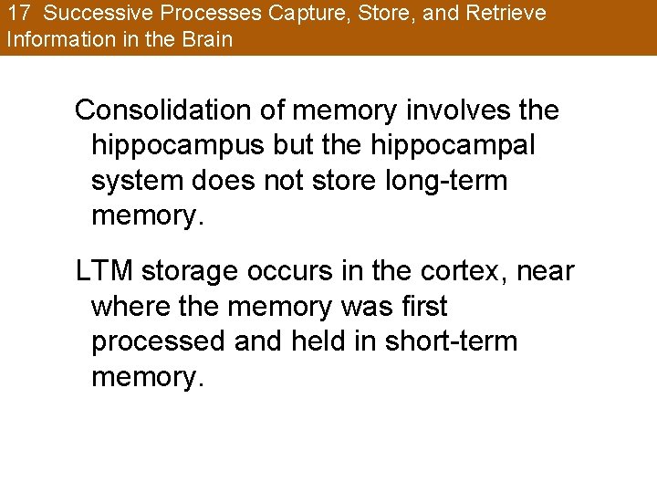 17 Successive Processes Capture, Store, and Retrieve Information in the Brain Consolidation of memory